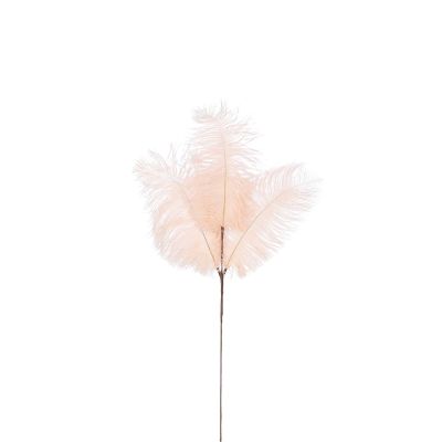 Tige de plumes blanc cassée