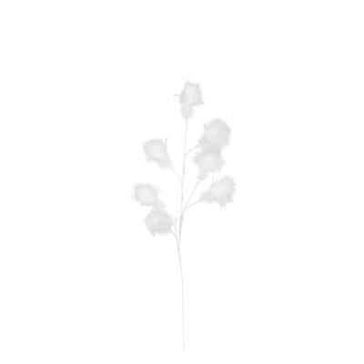 Branche à plumes blanche