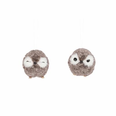 Hibou mignon