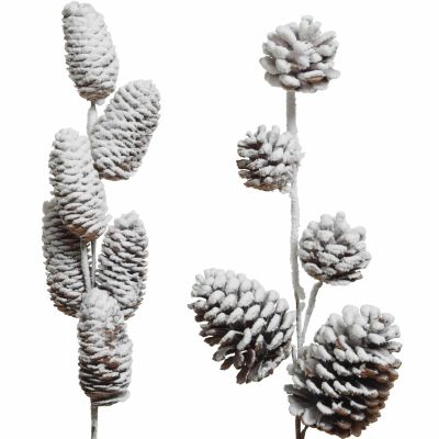 Tige de pomme de pin enneigée