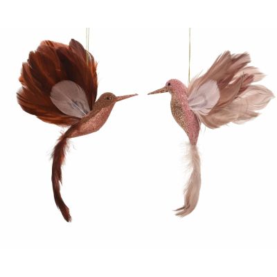 Colibris à paillettes 