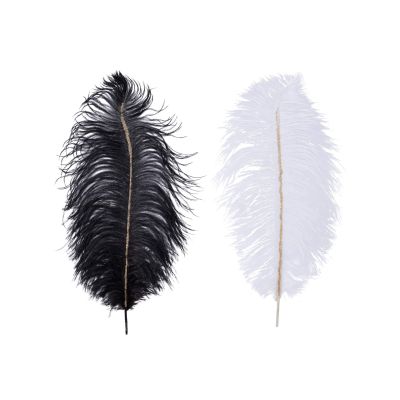 Plume à paillettes 