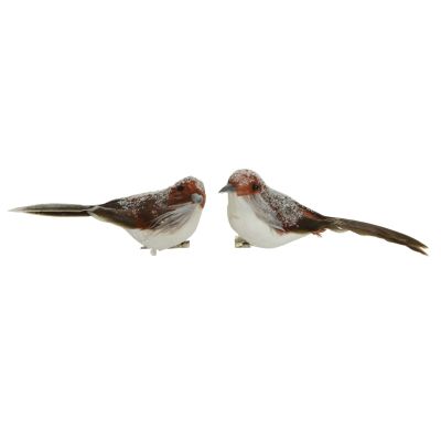 Lot de 2 oiseaux givrés avec clip