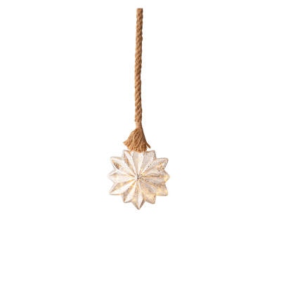 Micro led etoile fixe bo intérieur - dia19.00-h25.00cm-15l - argent/blanc classique 